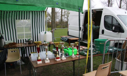 Les coupes du concours, toujours pas pour nous !