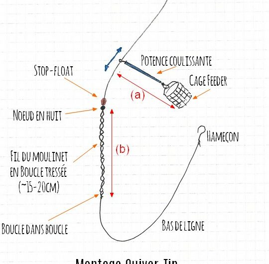 Montages feeder efficaces pour pêche en étang