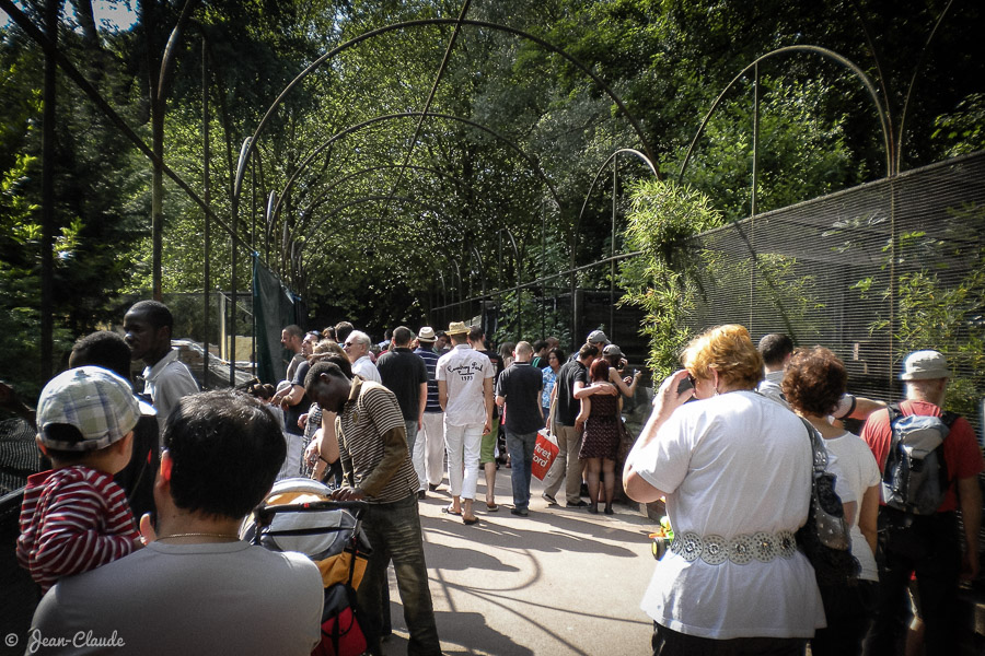 La voliĂšre historique du zoo de Lille, 2010