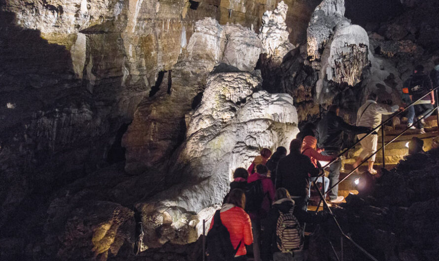 🖼 Une journée au Domaine des Grottes de Han