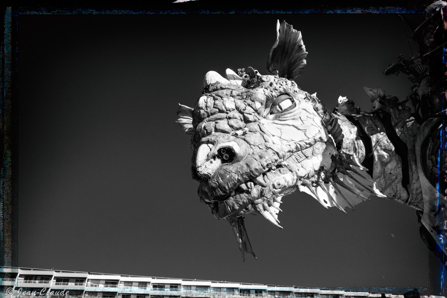 Le regard du dragon de Calais