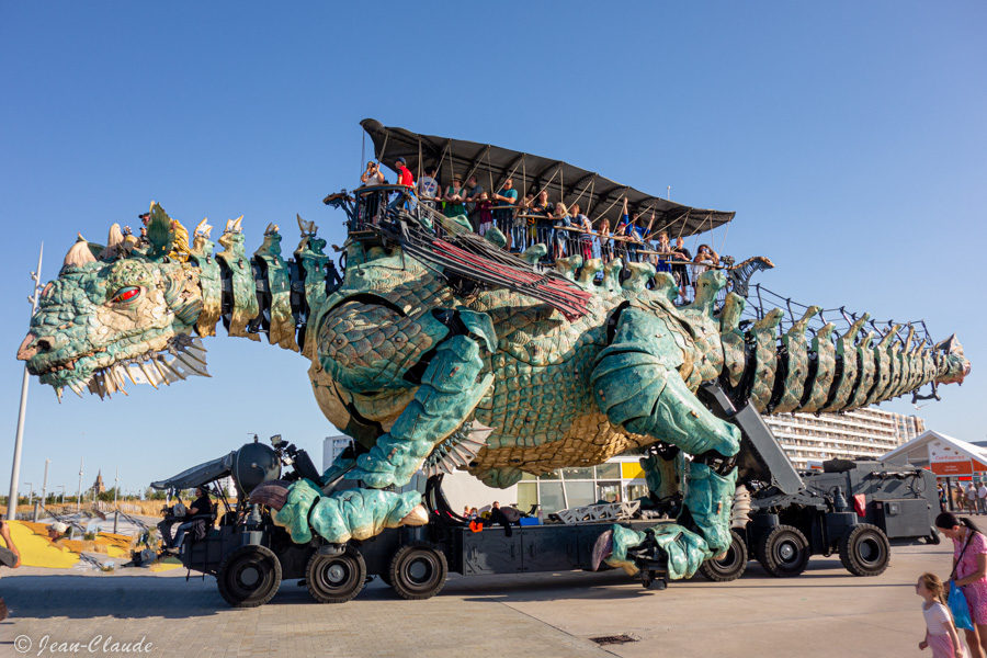 Le dragon de calais de profil