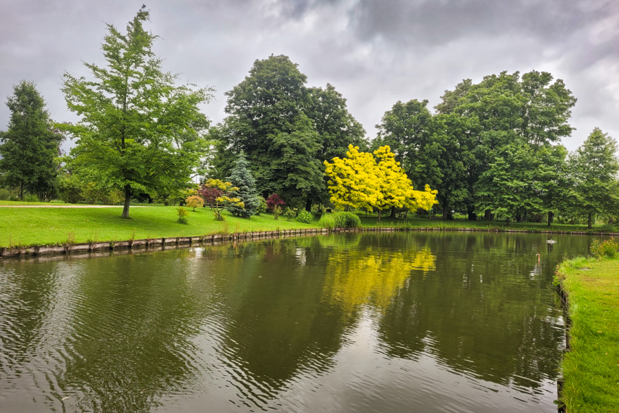 Etang de Wambrechies au printemps