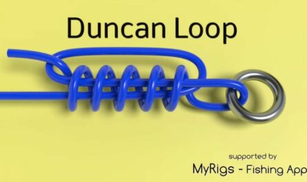 duncan-knot