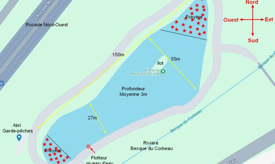 Stratégies de pêche par saison à Marquette