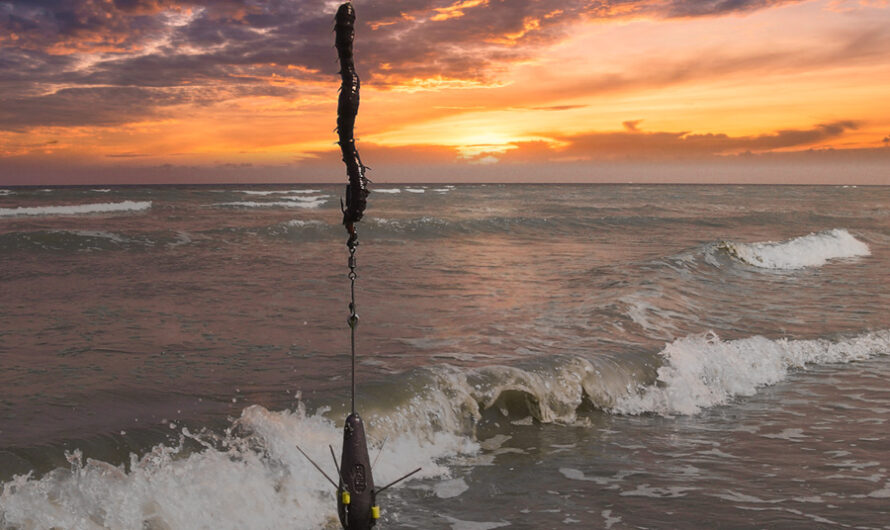 Combien de vers prévoir pour une session de surfcasting ?